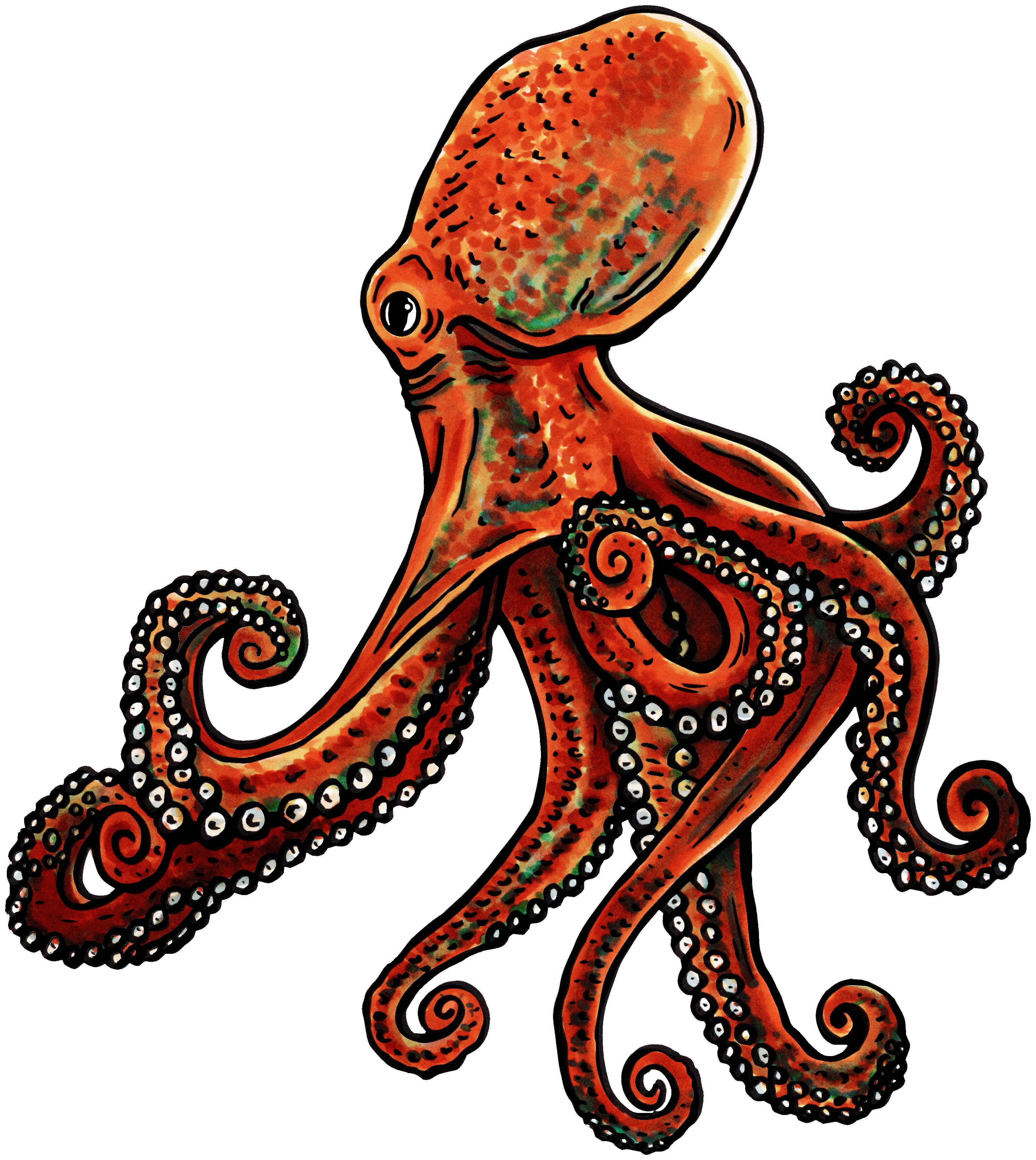 Octopus design artwork for merchandise